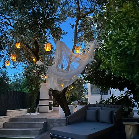 Regius White Τρογκίρ